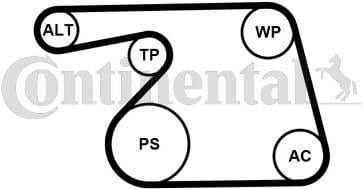 V-ribbed Belt Set 6PK1318K2