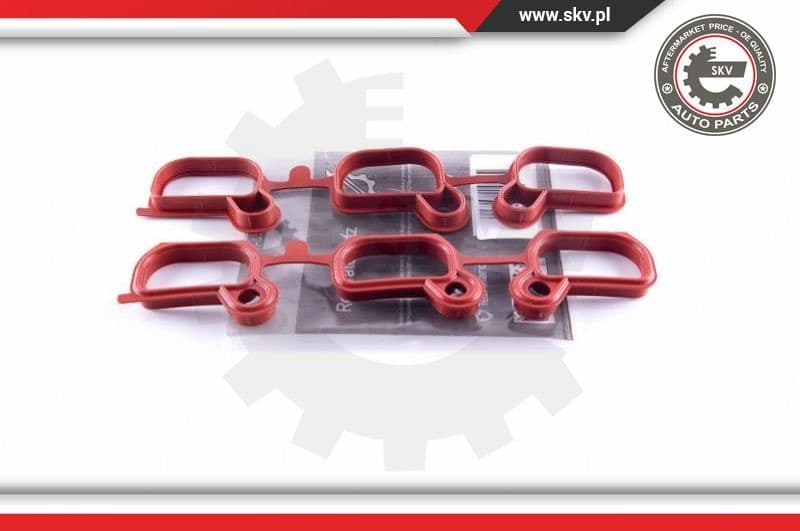 Repair Kit, intake manifold module 49SKV651