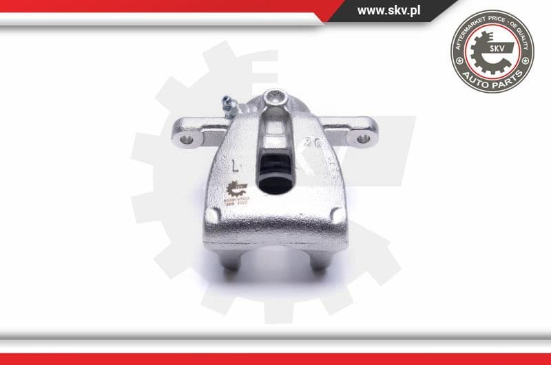 Brake Caliper 55SKV503