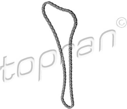 Timing Chain 600 799