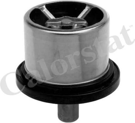 Thermostat, coolant THS1695782