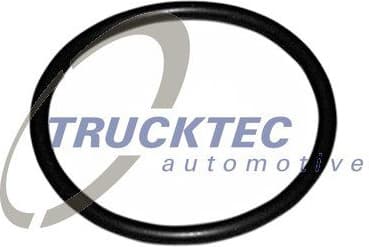 Seal, thermostat 07.19.039