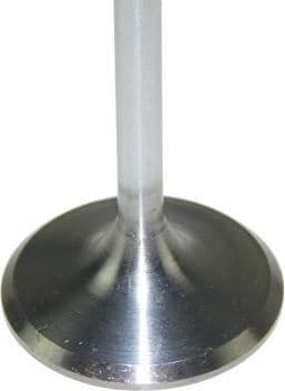 Intake Valve 130107210 - image 2