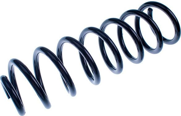 Suspension Spring D700028