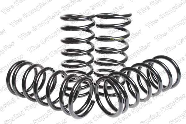 Suspension Set, springs 4563413