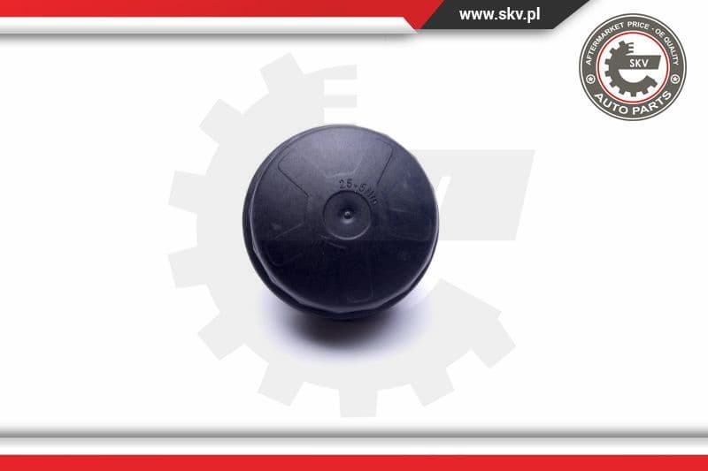 Cap, oil filter housing 31SKV183 - image 2