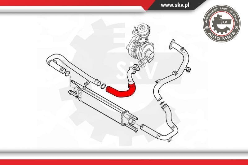 Charge Air Hose 24SKV566 - image 4