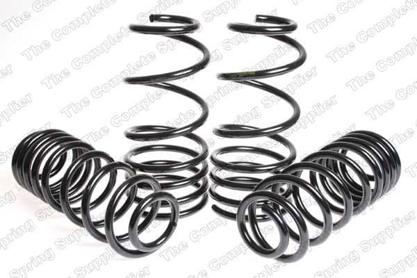 Suspension Set, springs 4504253