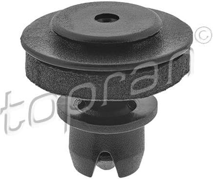 Retaining Clip, door panel 114 314