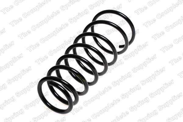 Suspension Spring 4244211