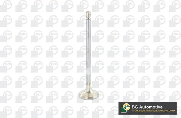Exhaust Valve V917011