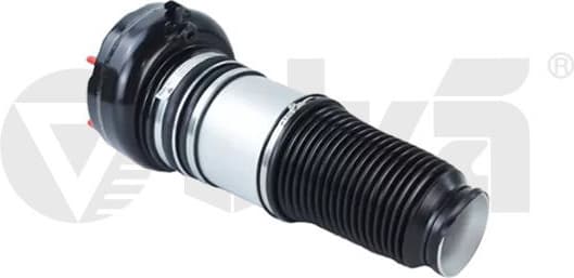 Air Suspension Strut 66160002201