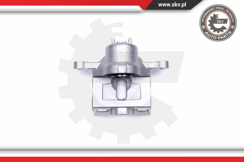 Brake Caliper 42SKV474