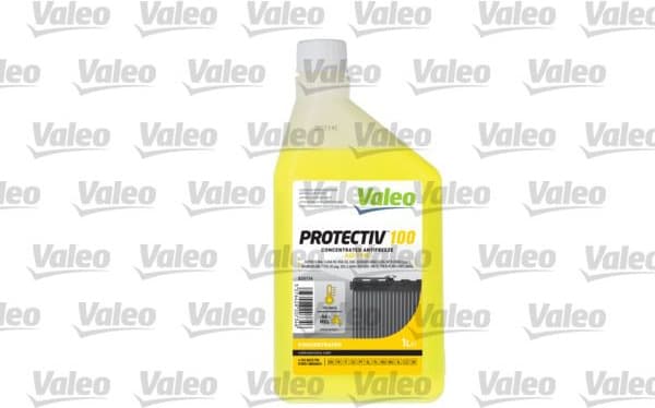 Antifreeze PROTECTIV 100 820734