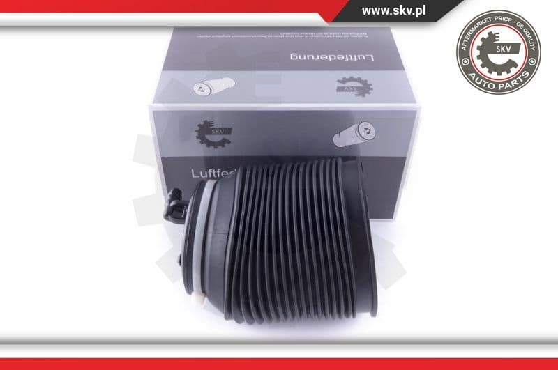 Air Spring, suspension 58SKV010