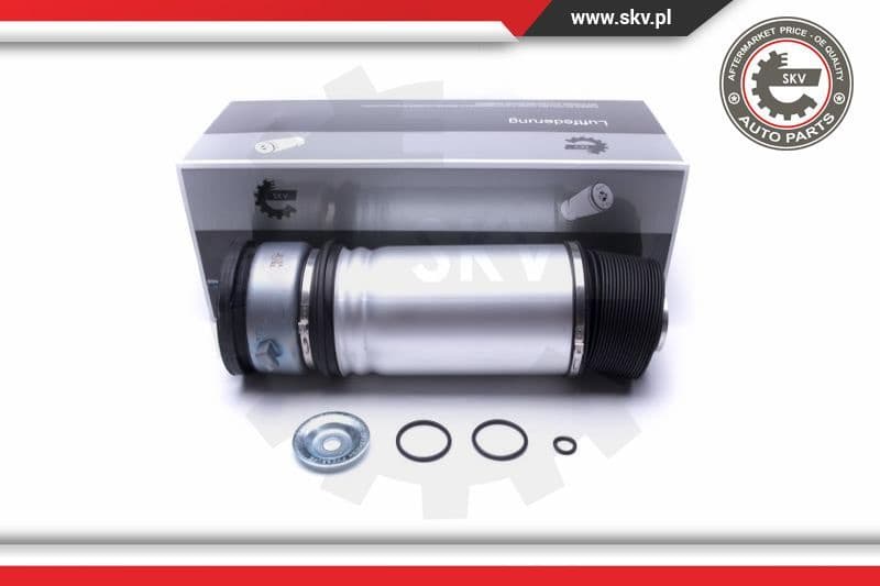 Air Suspension Strut 58SKV063