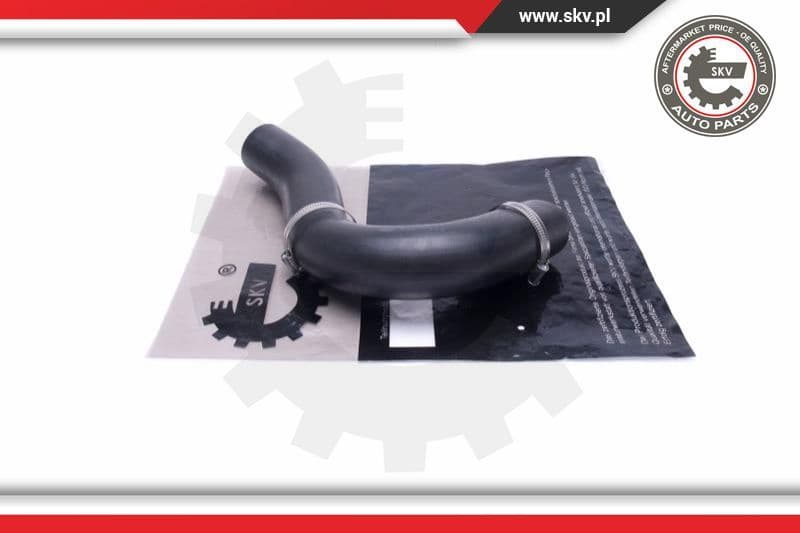 Charge Air Hose 54SKV123