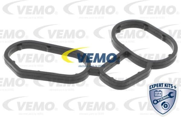 Oil Cooler, engine oil EXPERT KITS + V20-60-0031 - image 2