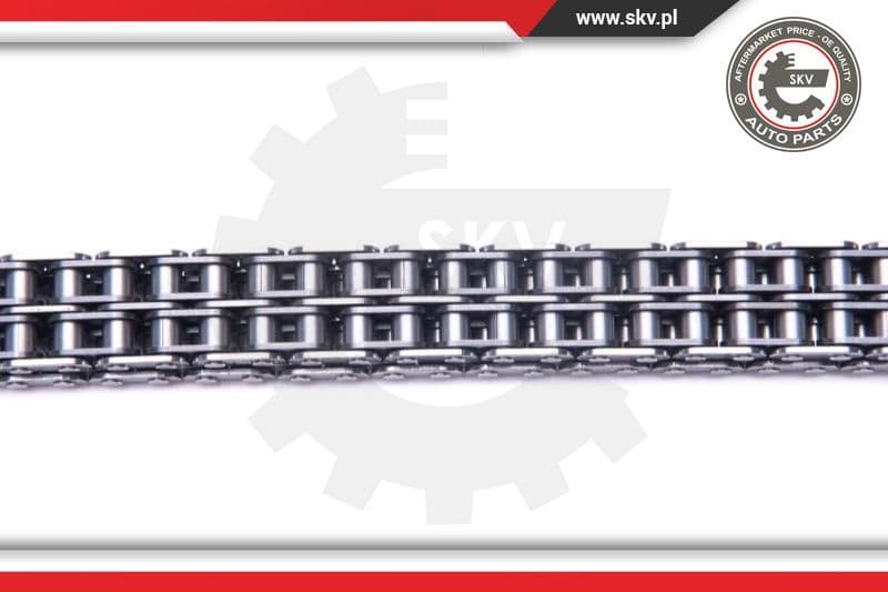 Timing Chain Kit 21SKV200