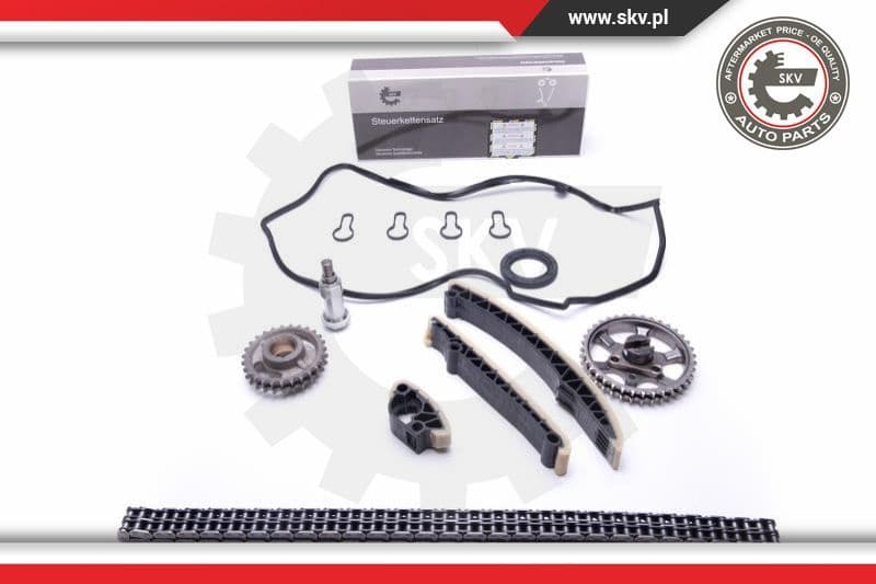 Timing Chain Kit 21SKV200 - image 2