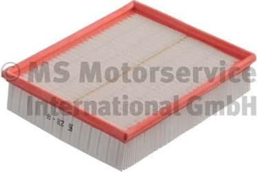 Air Filter 50013238