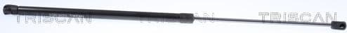 Gas Spring, boot/cargo area 8710 23299