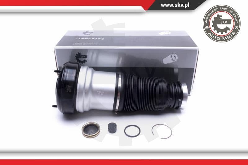 Air Suspension Strut 58SKV065