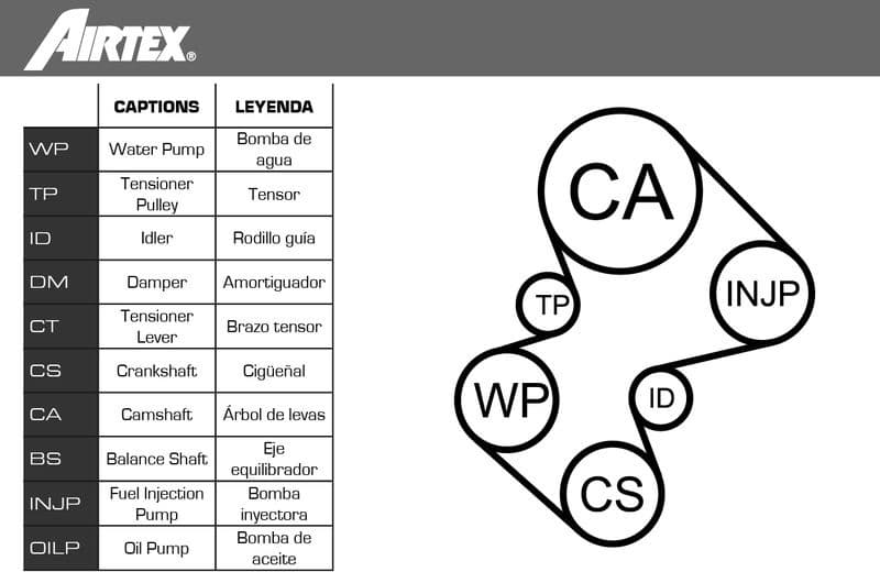 Water Pump & Timing Belt Kit WPK-169002 - image 2
