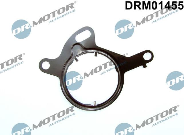 Gasket, vacuum pump DRM01455