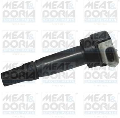 Ignition Coil 10662
