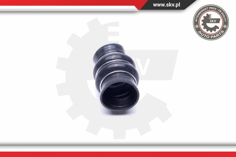 Charge Air Hose 54SKV147