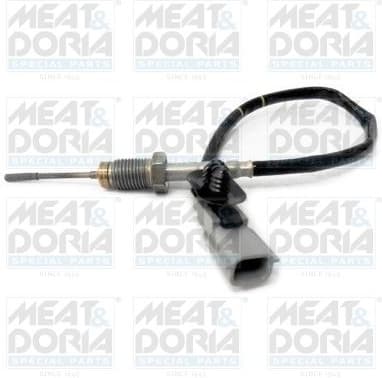 Sensor, exhaust gas temperature 12134