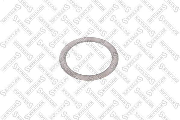 Washer 84-55079-SX