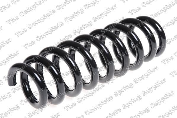 Suspension Spring 4208469