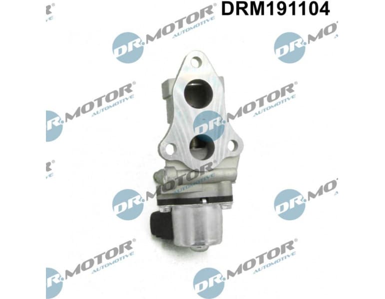 EGR Valve DRM191104