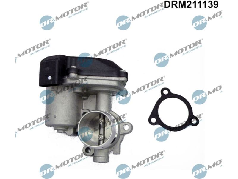 EGR Valve DRM211139