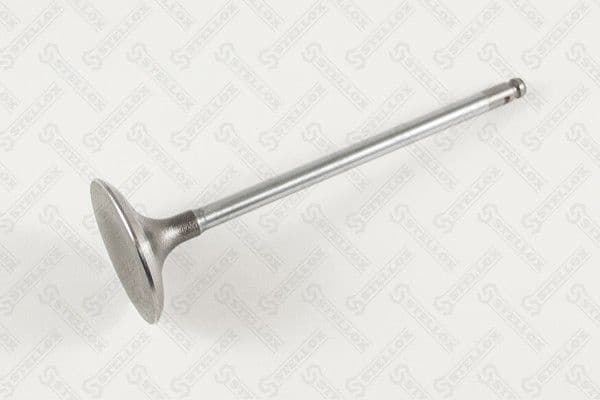 Intake Valve 01-24365-SX