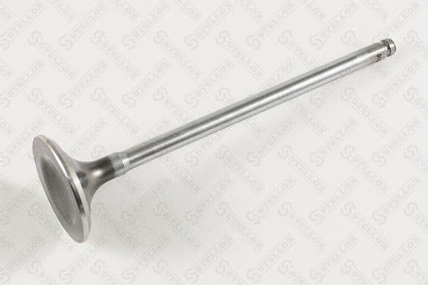 Exhaust Valve 01-24380-SX