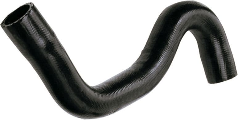 Radiator Hose 3981
