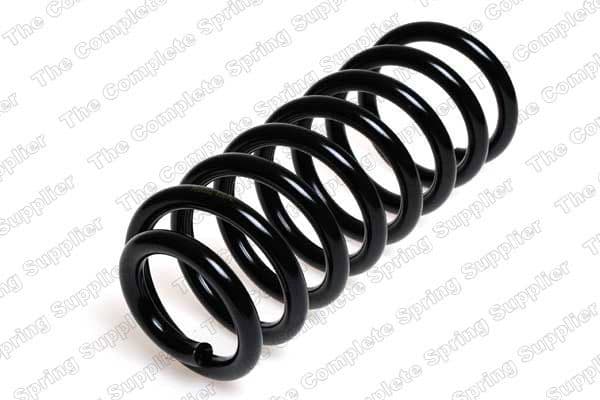 Suspension Spring 4204223