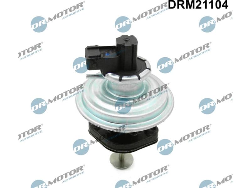 EGR Valve DRM21104