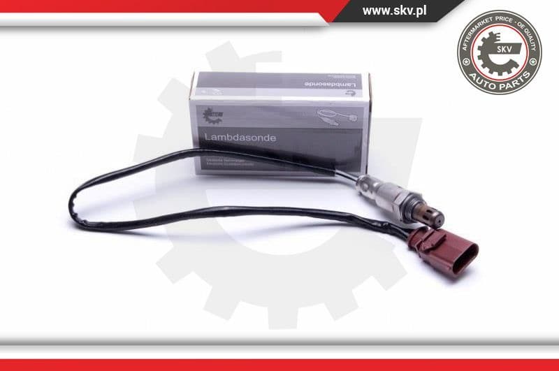 Oxygen Sensor 09SKV117