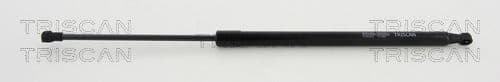 Gas Spring, boot/cargo area 8710 292019