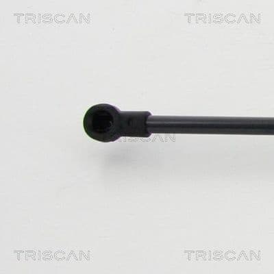 Gas Spring, boot/cargo area 8710 292019 - image 2