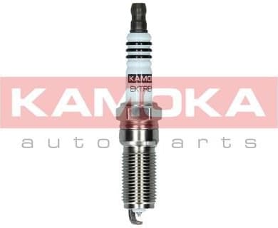 Spark Plug 7090036