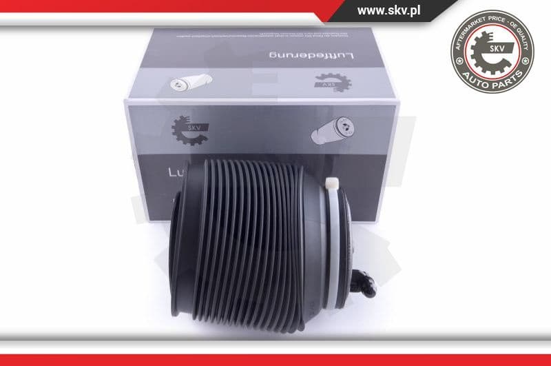 Air Spring, suspension 58SKV009