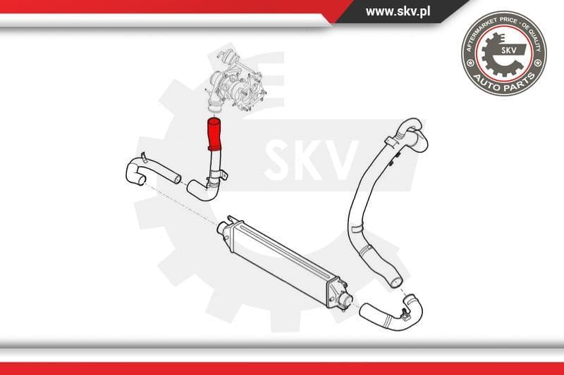 Charge Air Hose 24SKV581 - image 4