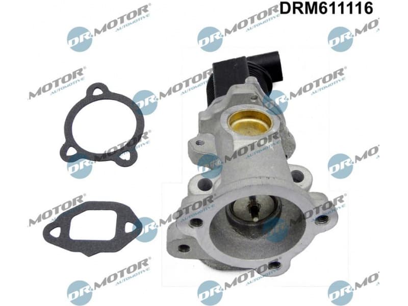 EGR Valve DRM611116