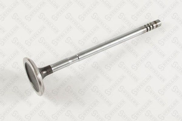 Exhaust Valve 01-24357-SX