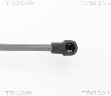 Gas Spring, boot/cargo area 8710 112011 - image 2